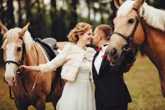 Two horses, working in tandem, are stronger than one — and make a great metaphor for spouses in business together, proceeding forward in alignment.