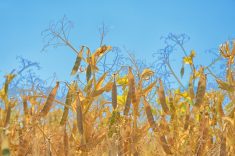 Photo: Knaupe/iStock/Getty Images
