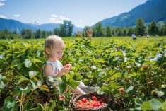 Young children on the farm can be taught that they have as much responsibility to look out for other people on the farm as other people have to look out for them.