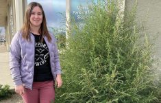 AAFC’s Breanne Tidemann says kochia (seen here) appears to be spreading to areas of Alberta where it wasn’t seen previously.