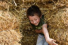 Farms offer children an increasingly unique living and learning experience but are still workplaces where appropriate supervision and boundaries are a must.