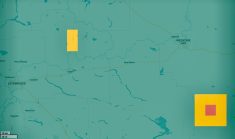 This map from PrairieFHB.ca shows the FHB risk level for the CPSR wheat variety AAC Penhold, as of May 15. The higher-altitude Prairie-wide map was pretty green (low risk) so we’ve zoomed in here on the Medicine Hat and Lethbridge area of southern Alberta. Yellow denotes “moderate” risk; red denotes “high” risk, while black (not shown) would denote “very high.”