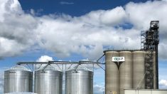 G3 Canada today operates 24 elevators and grain terminals across Canada. Its majority owner, G3 Global Holdings, also owns G3's export terminal at Vancouver in partnership with Western Stevedoring Co.