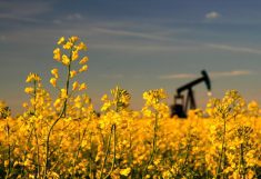 Photo: iStock