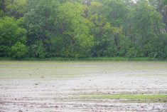 heavy rain in manitoba 2024
