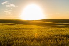 (Evandrorigon/E+/Getty Images)
