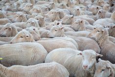 (Byronsdad/iStock/Getty Images)