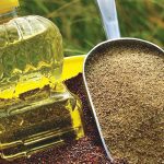 Domestic producers crushed 861,671 tonnes of oilseeds in June, an increase of more than 40,000 tonnes from June 2023. Photo: Canola Council of Canada
