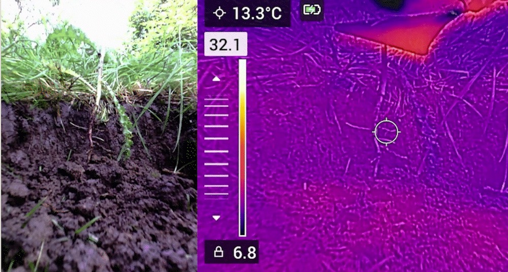 thermal image of plant electrocution