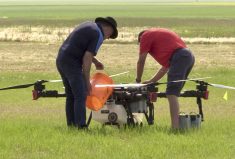 drone sprayer