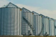 A row of GSI bins on a Saskatchewan farm.
