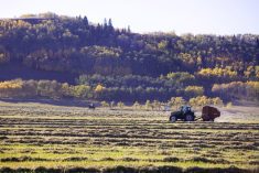 (Photo courtesy Canada Beef Inc.)
