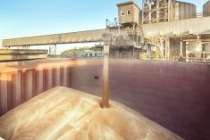 Bulk wheat being loaded on a ship in a Russian port. (YGrek/iStock/Getty Images)
