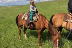James enjoys his Sunday ride to check the cows and pastures.