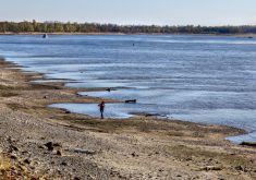 People walk along the banks of the Mississippi River, which has seen record low water levels, in Grand Tower, Illinois, November 2, 2022.
 Photo: Reuters/Evelyn Hockstein/File
