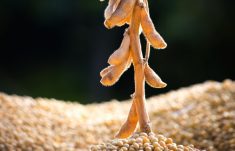 Photo: Thinkstock