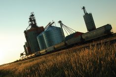 Wheat stocks in major exporting nations are not considered burdensome and are rather seen to have become relatively tight.