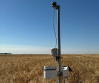 This is one of the weather stations Shannon Winny has on the family farm in Saskatchewan. The round black device at the top is the ultrasonic wind speed sensor. The station, powered by a small solar panel, can also collect data on rainfall, temperature, dew point, humidity, solar radiation and leaf wetness. The cables near the bottom are part of an add-on feature for soil moisture sensing. Basic models start around $1,100. | Photo: Courtesy of Shannon Winny