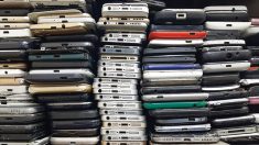 Not long ago people carried Nokias, Motorolas and BlackBerrys. Ten years from now, will we still all have iPhones?