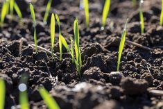 Some biostimulant products are meant to help see crops through environmental stressors such as unusual cold or heat.