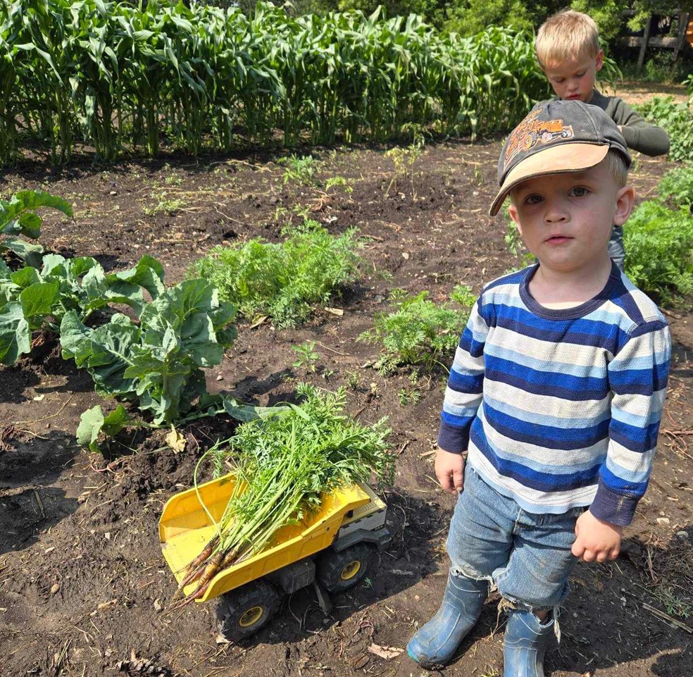 Ian pauses for a picture while harvesting a few of Joseph’s carrots for fresh eating.