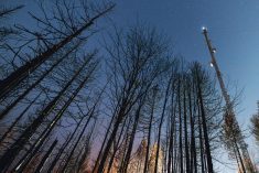 As I’ve already experienced with telcos, declining profitability often leads to declining service levels.