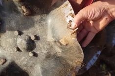 The CrossCutter disc blade has an 11-cm wave to provide maximum soil contact and movement at very shallow working depths. 