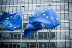 Flags in front of the European Commission headquarters in Brussels. (Inakiantonana/E+/Getty Images)
