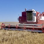 Roto Thresh combine harvesting wheat