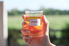 Implementation of higher biodiesel mandates in Indonesia, the world’s biggest palm oil producer, is likely to tighten supplies of the vegetable oil, a leading industry analyst said on Tuesday. Photo: Natt Boonyatecha/iStock/Getty Images