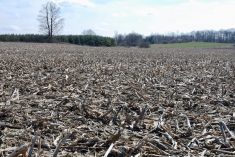 While it’s toughest on tractor tires right after harvest, stubble may still be hard on your tires even the following spring.