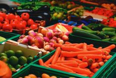 Canada’s agricultural policies are falling short of health and sustainability goals