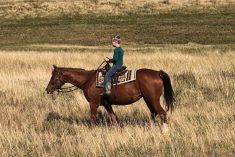 Joseph and Reba check the pasture and the cows together.