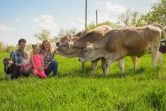 Marcus and Paige Dueck and their children Sutton, age 4 ½, and Brielle, age 1 ½, along with dog Stella and members of the family’s Brown Swiss dairy herd.