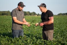 DJ Wassenaar (left) and business partner Matt Bergman have developed a diversified farming operation at two locations in Ontario, along with off-season non-farm work.