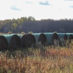 Photo: Geralyn Wichers
