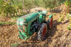 lebanon vineyard with tractor