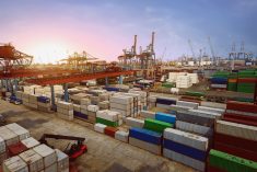 File photo of containers at a seaport in Jakarta. (Leolintang/iStock/Getty Images)
