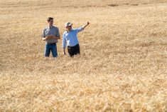 people standing in field