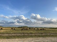 NCIAF and NAAAN to collaborate to advance Indigenous agriculture