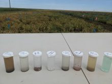 solubility test