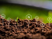 Ground Level: The power of seeing and the crutch of complexity