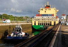 A tugboat moves behind a cargo vessel as vessels transit through the Panama Canal, in Panama City, Panama May 3, 2024. Photo: REUTERS/Daniel Becerril