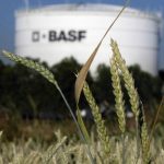 Louis Dreyfus to buy BASF’s food and health performance ingredients business