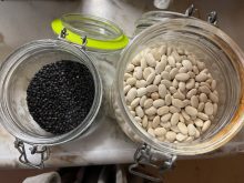 lentils and beans