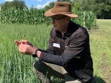 David Kaminski flicking a barley seed head infected with true loose smut at the Crop Diagnostic School.