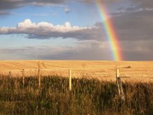 Leaving taller standing stubble in a field increases its aerodynamic roughness heading into later fall and winter.