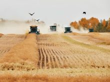 Like machinery, farming family teams require alignment and organization.