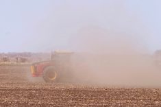 (Manitoba Co-operator file photo by Alexis Stockford)