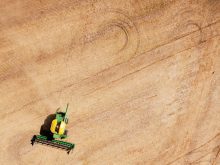 Variability across a farm, or even within a field, can complicate data analysis for a producer.